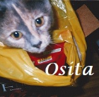 Osita 